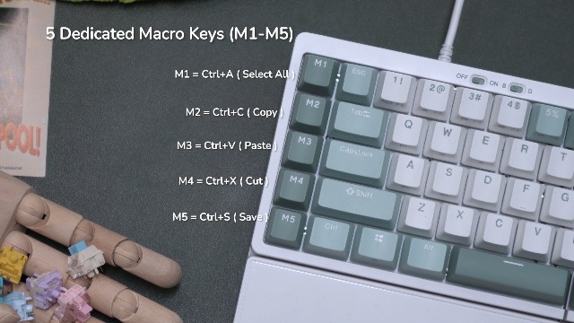 Amazon.com: RK ROYAL KLUDGE RKS70 Ergonomic Split Mechanical